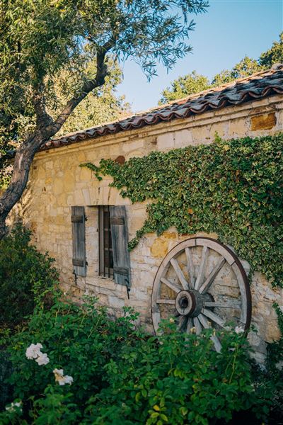 Holman Ranch (10/26/2021 - Credits: Wine Club & Marketing Manager)