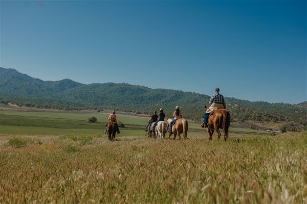 Rankin Ranch - California Cattle & Guest Ranch (2/5/2025 11:00:34 AM - Credits: submitted by:)