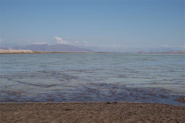 Bristol Dry Lake - Bureau of Land Management - Bristol Dry Lake after a rainfall (3/1/2010 - Credits: By Adbar - Own work, CC BY-SA 3.0, https://commons.wikimedia.org/w/index.php?curid=31639402)