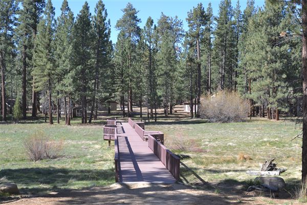 Camp Whittle (3/3/2025 - Credits: CS Team Member)