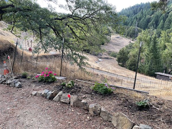 Long Creek Ranch (3/5/2025 - Credits: The Larsen Family)
