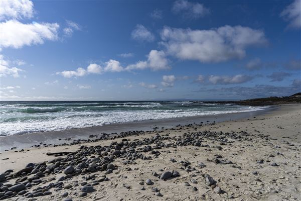 Asilomar State Beach and Conference Grounds (5/9/2023 - Credits: Brian Baer)