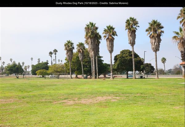 Dusty Rhodes Dog Park (10/18/2023 - Credits: Sabrina Moreno)