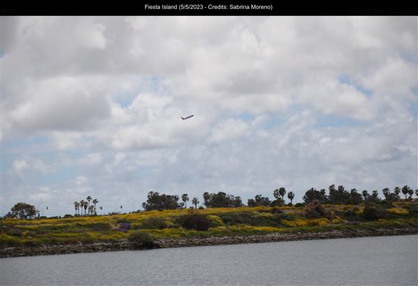 Fiesta Island (5/5/2023 - Credits: Sabrina Moreno)