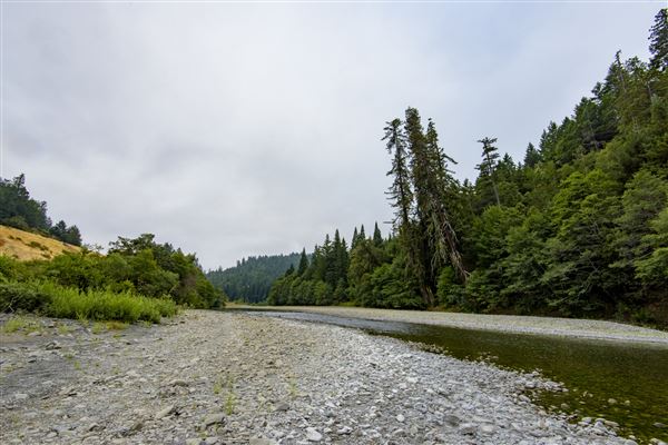 Benbow State Recreation Area (SRA) (8/22/2017 - Credits: Brian Baer)