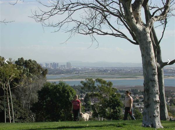 Kate Sessions Memorial Park (12/4/2006 - Credits: San Diego Film Commision)
