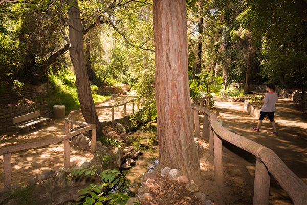 Griffith Park / Fern Dell / Griffith Park Merry-Go-Round (3/28/2025 - Credits: City of Los Angeles Department of Recreation & Parks)