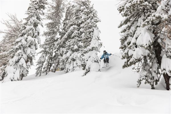 Sierra at Tahoe (4/7/2025 - Credits: Brian Walker)