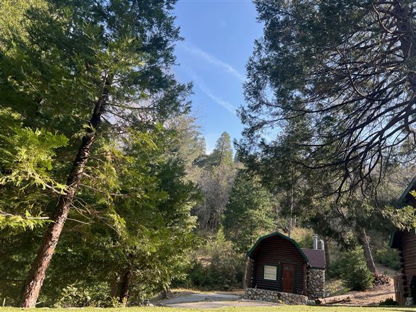 4 Log Cabins and 15 Wooded Acres Near Crestline, CA (4/9/2025 - Credits: Michelle Dowd)