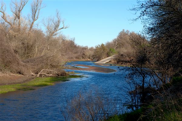 Bidwell-Sacramento River State Park (SP) (3/7/2012 - Credits: Brian Baer)