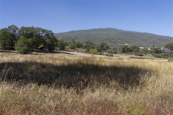 Cuyamaca Rancho State Park (SP), Lake Cuyamaca and Grand Valley Rapids (10/29/2023 - Credits: Brian Baer)