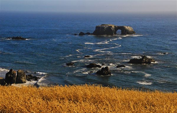 Arched Rock Beach (Sonoma Coast State Park) (4/17/2025 - Credits: Al Mueller)