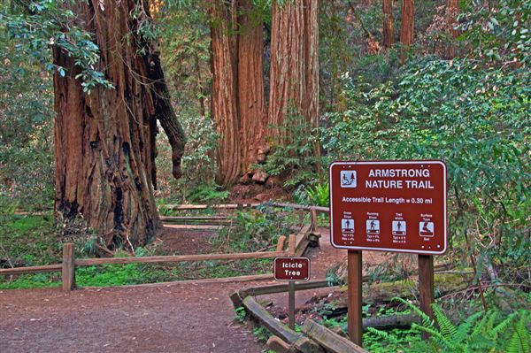 Armstrong Redwoods State Natural Reserve (SNR) (4/17/2025 - Credits: Al Mueller)