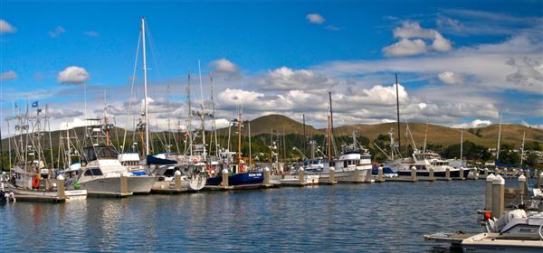Bodega Bay (4/18/2025 - Credits: Al Mueller)