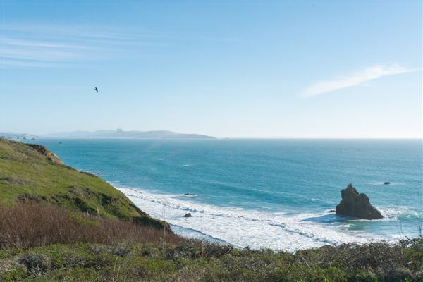 Bodega Bay - Pinnacle Gulch Coastal Access Trail - Bodega Bay (4/18/2025 - Credits: Mariah Harkey)