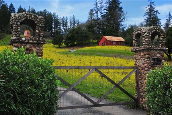 Dry Creek Vineyard (4/18/2025 - Credits: Al Mueller)