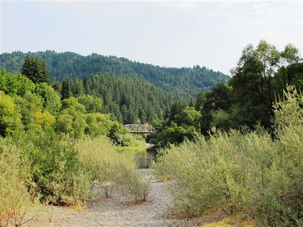 Forestville - Sunset Beach River Park (4/21/2025 - Credits: Photo Courtesy of Sonoma County)