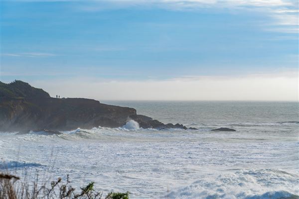 Gualala Point Regional Park (4/21/2025 - Credits: Spencer Spellman)