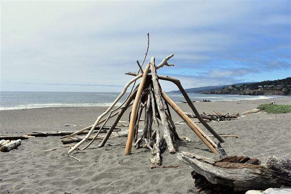 Gualala Point Regional Park (4/21/2025 - Credits: Photo Courtesy of Sonoma County)