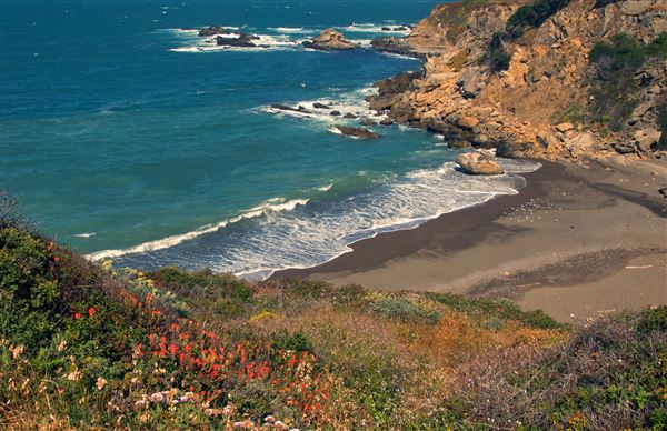 Salt Point State Park (SP) (4/23/2025 - Credits: Photo Courtesy of Sonoma County)