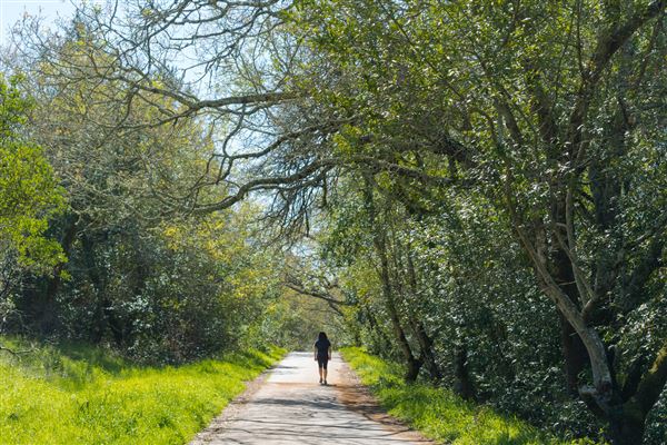 City of Santa Rosa - Spring Lake Regional Park (4/23/2025 - Credits: Mariah Harkey)