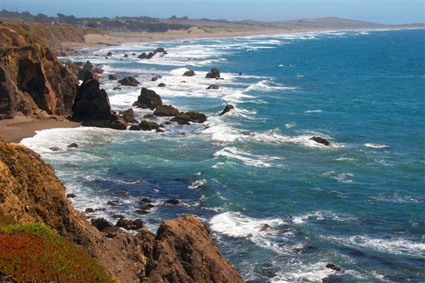 Sonoma Coast State Park (SP) - Coleman Beach - Sonoma Coast State Park (4/24/2025 - Credits: Al Mueller)