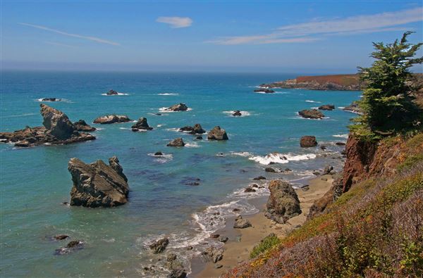 Sonoma Coast State Park (SP) - Gleason Beach - Sonoma Coast State Park (4/24/2025 - Credits: Al Mueller)