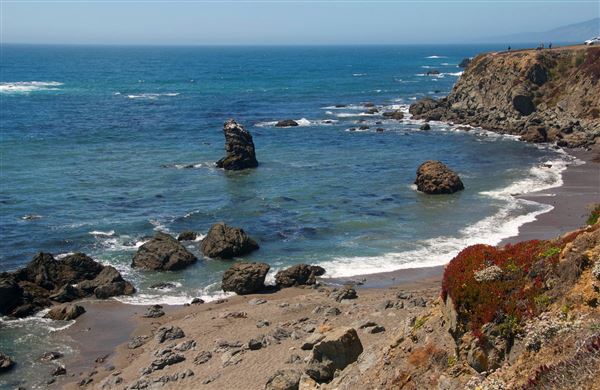 Sonoma Coast State Park (SP) - Marshall Gulch - Sonoma Coast State Park (4/24/2025 - Credits: Al Mueller)