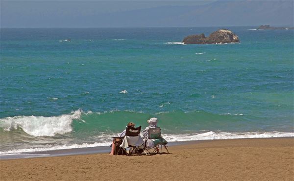 Sonoma Coast State Park (SP) - Portuguese Beach - Sonoma Coast State Park (4/24/2025 - Credits: Al Mueller)