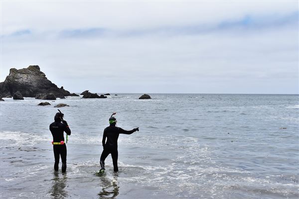Stillwater Cove Regional Park (4/24/2025 - Credits: Photo Courtesy of Sonoma County)