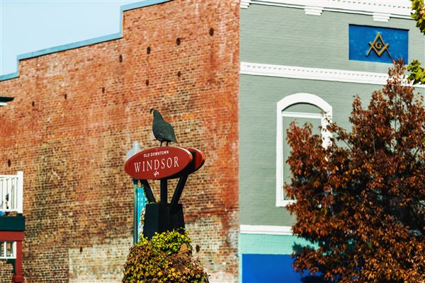 Windsor (4/25/2025 - Credits: Wildly Simple)