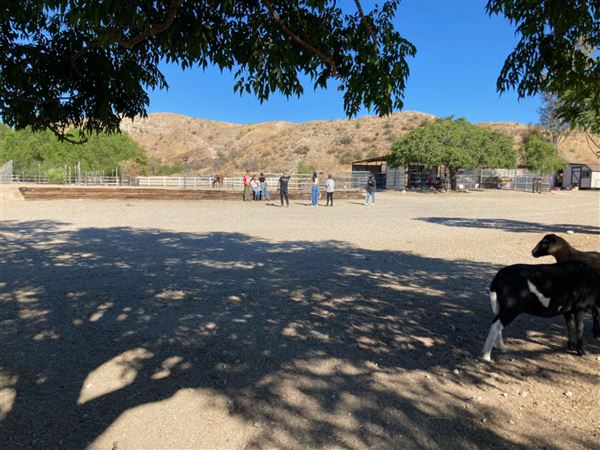 Sunny Canyon Ranch (4/28/2025 - Credits: submitted by: Lynn Borneman)