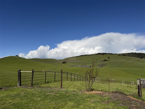 Horick Ranch (4/21/2024 - Credits: submitted by: Todd Horick)