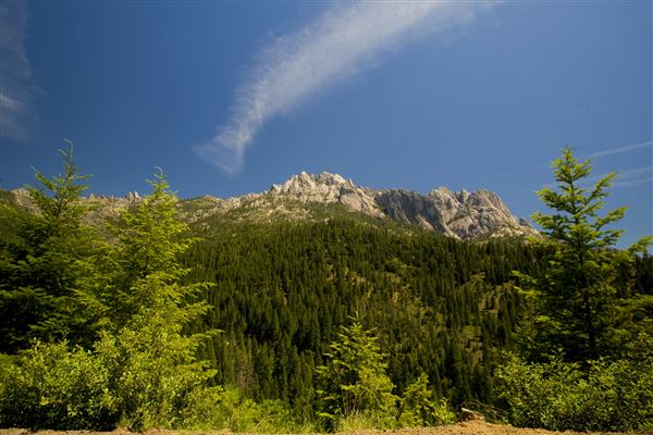 Castle Crags State Park (SP) (6/19/2009 - Credits: Brian Baer)