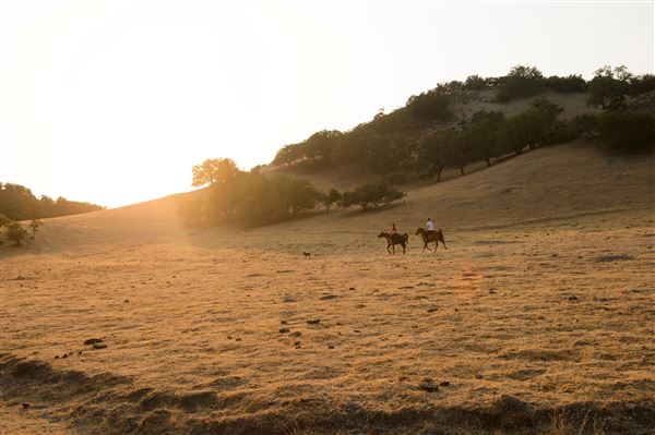 Salinas Valley (5/31/2022 - Credits: SeeMonterey.com)