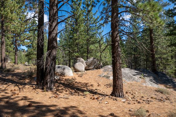 Washoe Meadows State Park (SP) (10/4/2024 - Credits: Brian Baer)