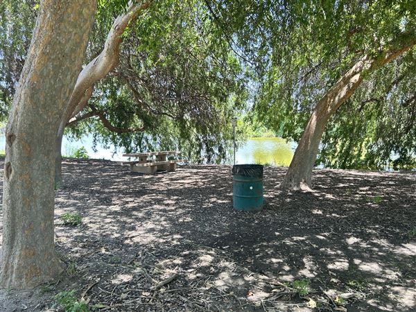Whittier Narrows Recreation Area / LA County Parks - US Army Corps of Engineers - Legg Lake (6/17/2025 - Credits: Brandy Davis)