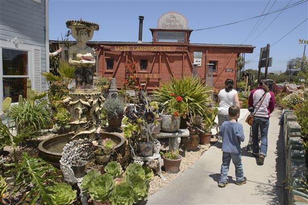 Moss Landing (4/27/2022 - Credits: SeeMonterey.com)