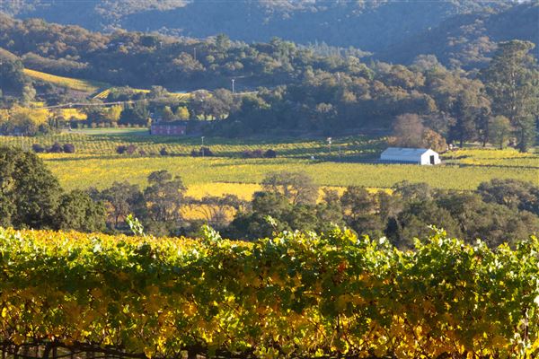 Chalk Hill Estate Vineyards & Winery (6/30/2025 - Credits: Photo Courtesy of Sonoma County)