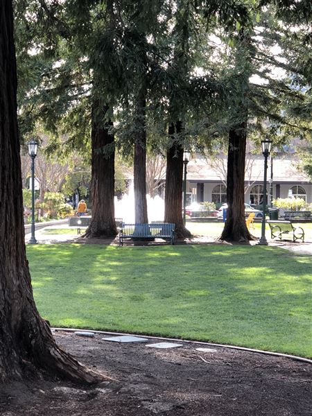 Los Gatos - Town Plaza Park Downtown (7/8/2025 - Credits: Town of Los Gatos)
