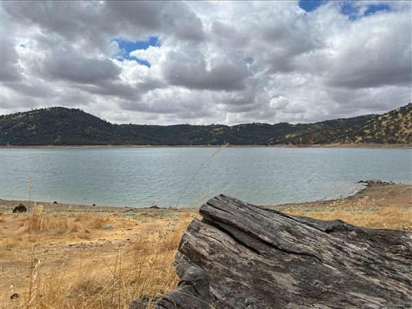 New Melones Reservoir and Stevnot Bridge (7/28/2025 - Credits: U.S. Bureau of Reclamation)