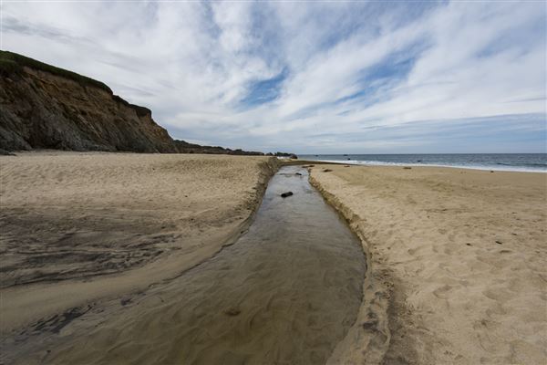 Garrapata State Park (SP) (4/5/2018 - Credits: Brian Baer)