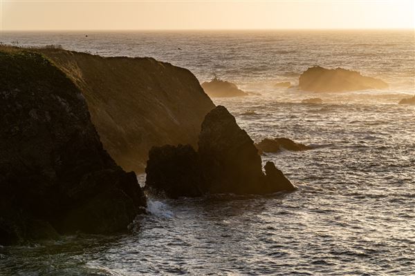 Jug Handle State Natural Reserve (SNR) (7/31/2023 - Credits: Brian Baer)
