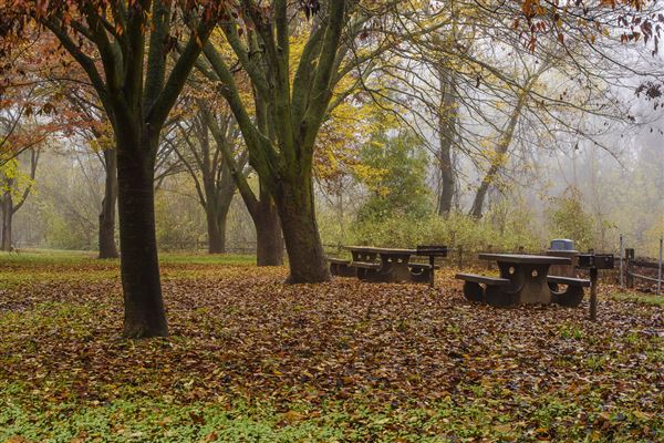 Colusa-Sacramento River State Recreation Area (SRA) (12/9/2016 - Credits: Brian Baer)