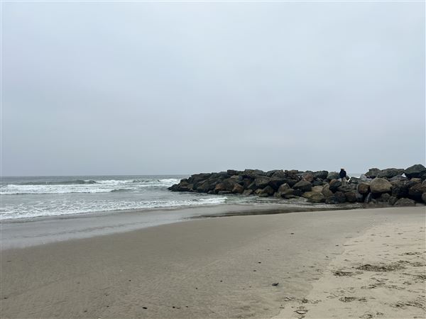Venice Beach, Boardwalk, Pier & Recreation Center (8/14/2025 - Credits: Brandy Davis)