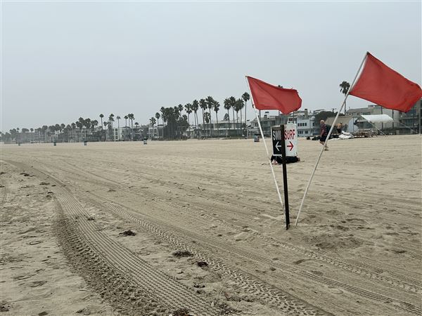 Venice Beach, Boardwalk, Pier & Recreation Center (8/14/2025 - Credits: Brandy Davis)