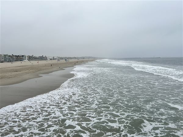 Venice Beach, Boardwalk, Pier & Recreation Center (8/14/2025 - Credits: Brandy Davis)