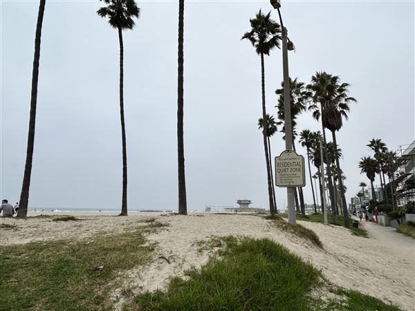 Venice Beach, Boardwalk, Pier & Recreation Center (8/14/2025 - Credits: Brandy Davis)
