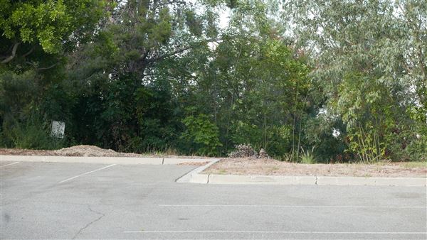 Pacific Palms Resort - Back Golf Parking Lot (10/12/2018 - Credits: Leo Fialho)