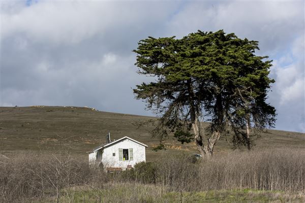 Harmony Headlands State Park (SP) (11/28/2016 - Credits: Brian Baer)